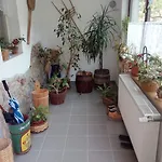 U Slunecne Brany Konukevi Františkovy Lázně