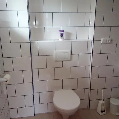 بيت ضيافة U Slunecne Brany 3*