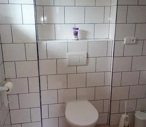 بيت ضيافة U Slunecne Brany 3*