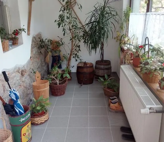 U Slunecne Brany بيت ضيافة Františkovy Lázně